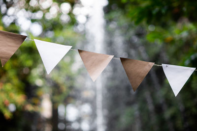Close-up of flags hanging against blurred background