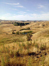 Scenic view of field against sky