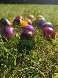 Close-up of multi colored eggs on field