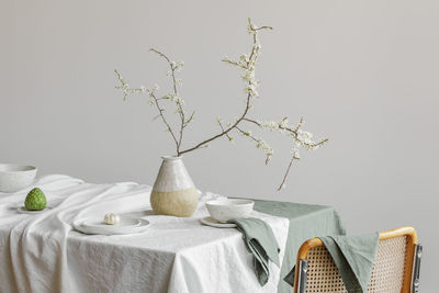 Potted plant on table against white background