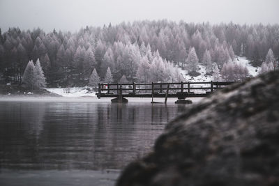 Bridge over river in forest against sky