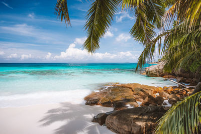 View of rocks on beach