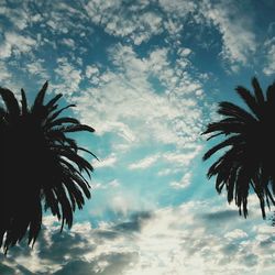 Low angle view of palm trees against cloudy sky