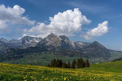 Scenic view of field against sky