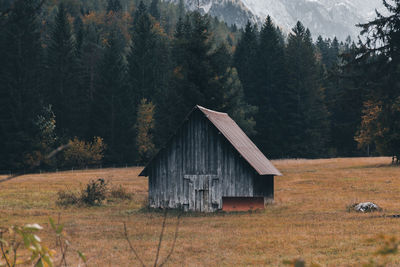 Moody autumn scenery with old wooden hut on meadow surrounded by pine forest.