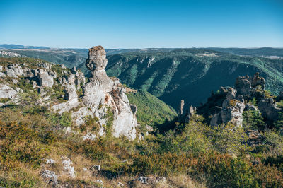 Scenic view of landscape against clear sky