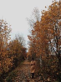 Rear view of woman walking on pathway amidst autumn trees