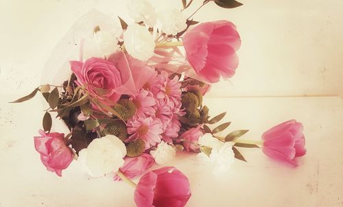 Close-up of pink flowers