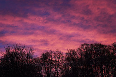 Low angle view of silhouette trees against romantic sky