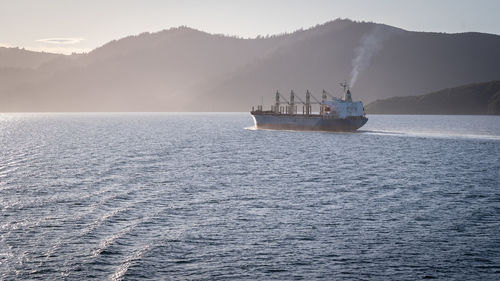 Large cargo ship leaving the port and sailing towards the sun, new zealand