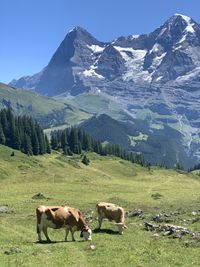 High angle view of people walking on mountain