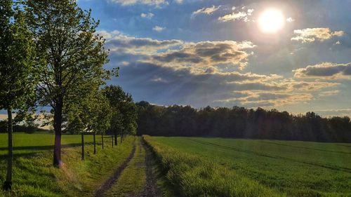 Scenic view of field against sky