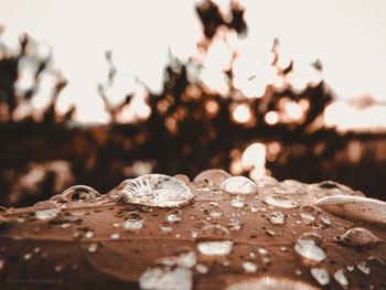 Close-up of wet table against clear sky