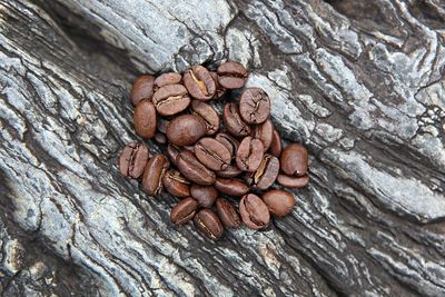 Close-up of coffee beans on tree trunk