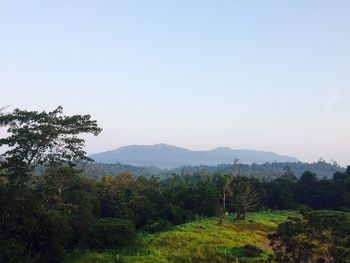 Scenic view of landscape against clear sky