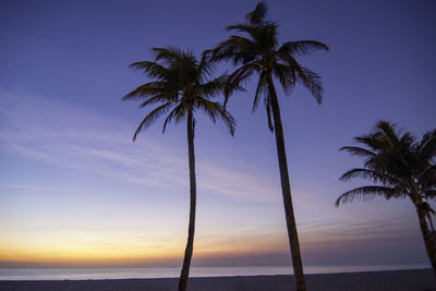 Palm trees on beach against sky during sunset