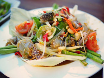 Close-up of salad in plate