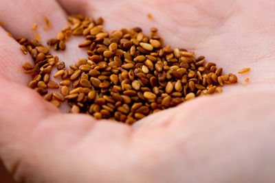 Close-up of hand holding coffee beans