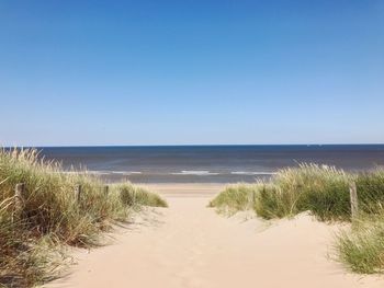 Scenic view of beach against clear sky