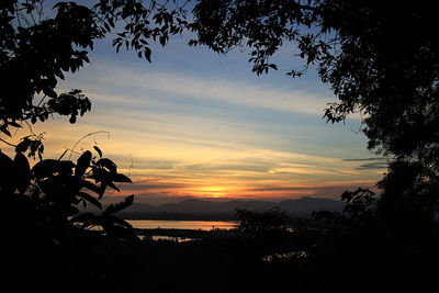 Silhouette trees against sky during sunset