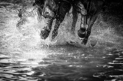 People splashing water