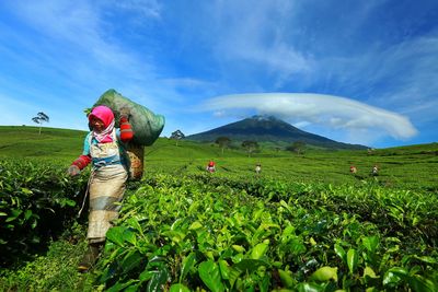 Woman by plants on field against sky