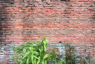 Close-up of brick wall