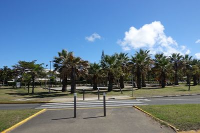 Trees by road against blue sky