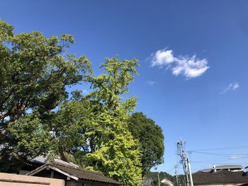 Low angle view of trees and building against sky