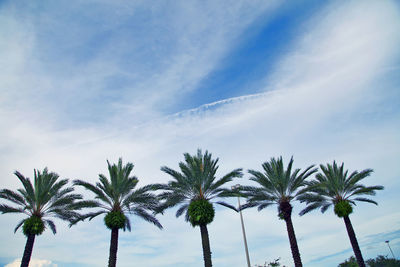 Low angle view of trees against sky