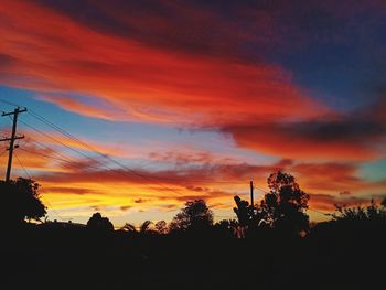 Low angle view of silhouette trees against orange sky