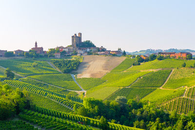 Scenic view of agricultural field against clear sky