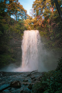 Waterfall in forest