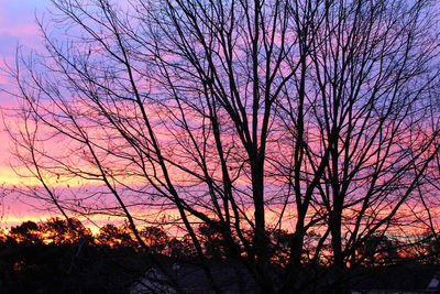 Bare trees against sky at sunset