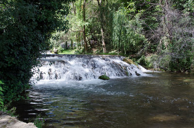 Scenic view of waterfall in forest