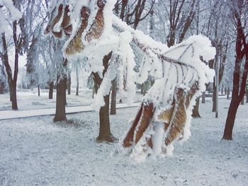 Bare trees on snow covered landscape