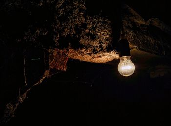 View of trees at night