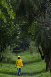 Rear view of man walking on field