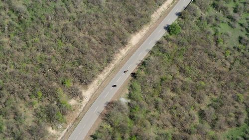 High angle view of road amidst trees