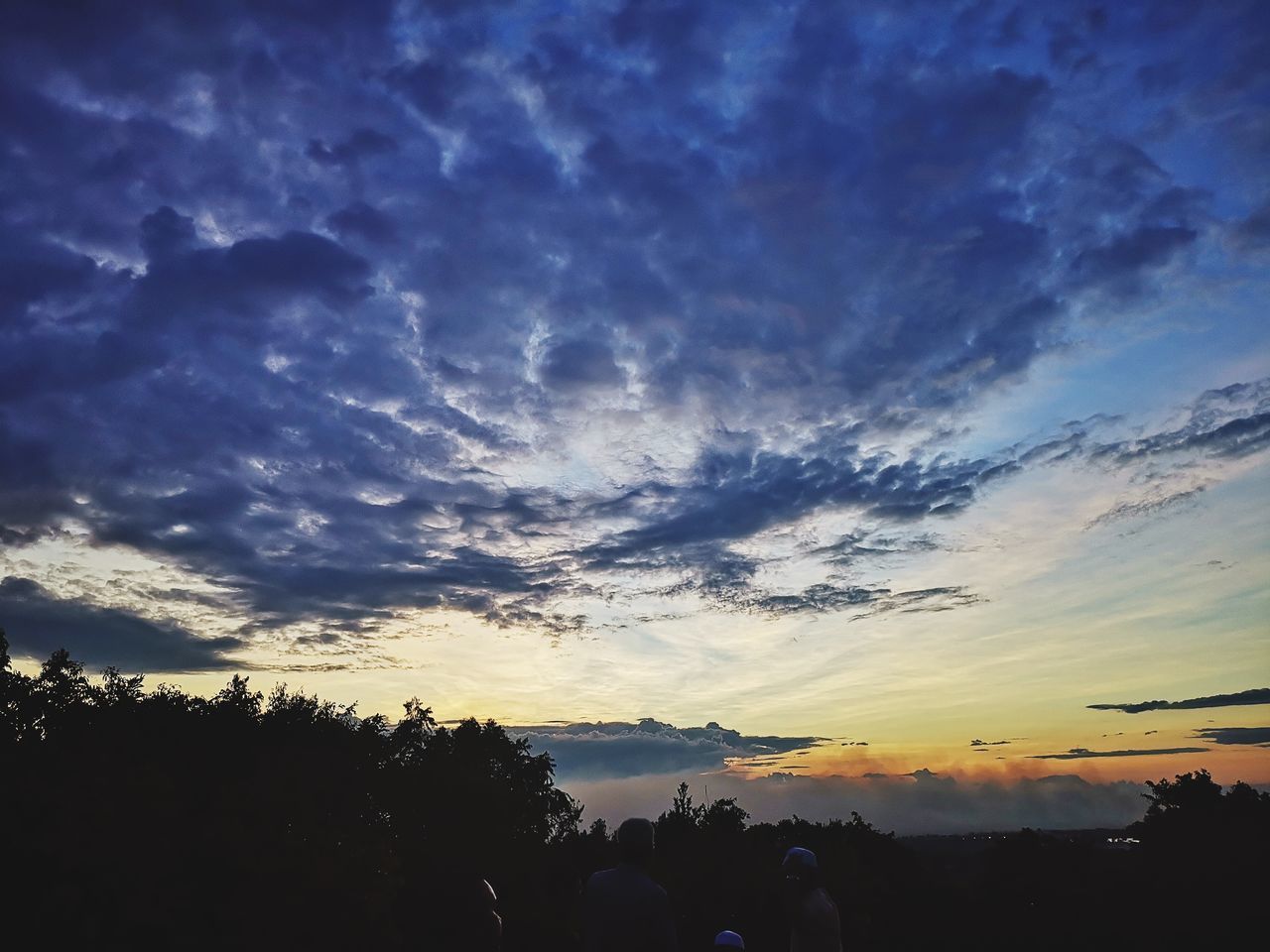 LOW ANGLE VIEW OF SILHOUETTE TREES AGAINST ORANGE SKY