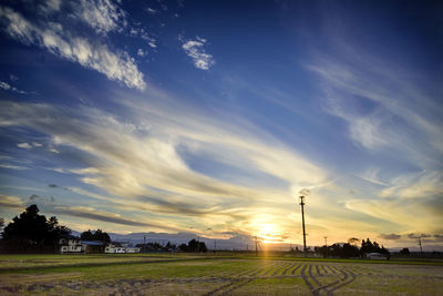 Scenic view of field against sky at sunset