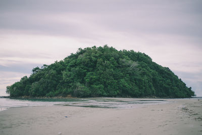 Scenic view of beach against sky