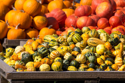 Pumpkins for sale at market stall