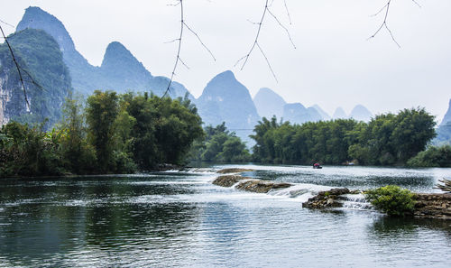 Scenic view of river in forest against sky