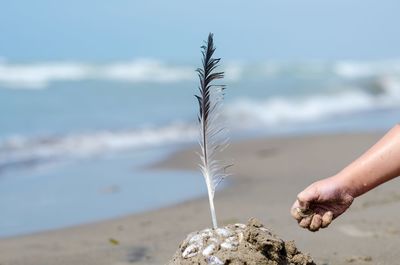 Close-up of hand holding sand at beach against sky