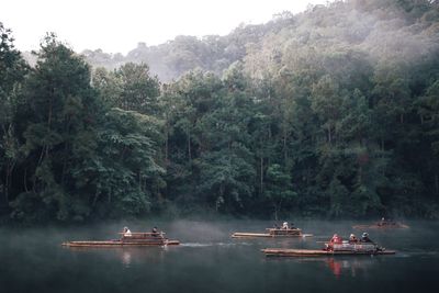 People on wooden rafts in lake against trees in forest