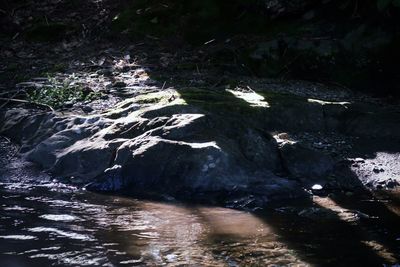 River flowing through rocks in forest