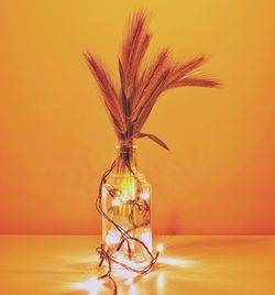 Stalks in illuminated bottle on table against orange wall