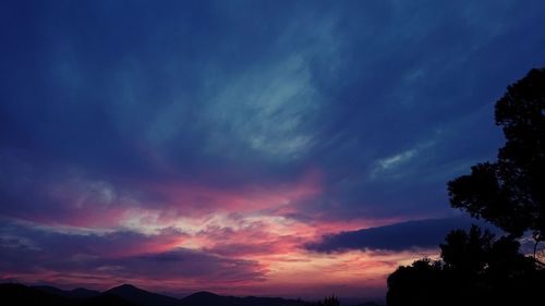 Low angle view of silhouette trees against dramatic sky