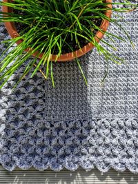 Person holding fresh potted plant in basket